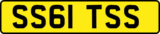 SS61TSS