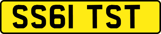 SS61TST