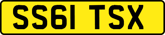 SS61TSX