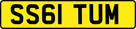 SS61TUM