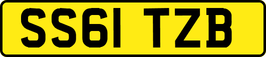 SS61TZB