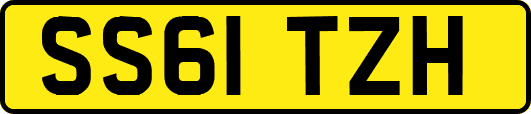 SS61TZH