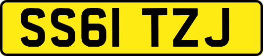SS61TZJ