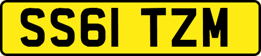 SS61TZM