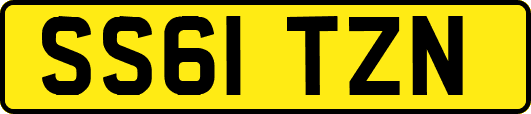 SS61TZN