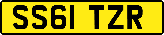SS61TZR