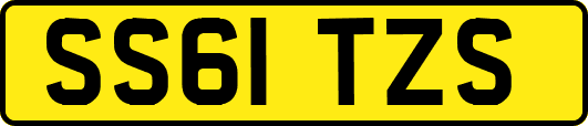 SS61TZS