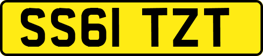 SS61TZT
