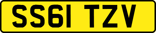 SS61TZV