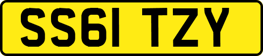 SS61TZY