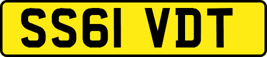 SS61VDT