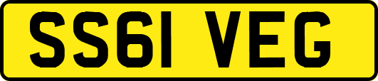 SS61VEG