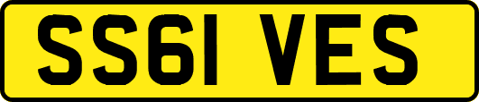 SS61VES