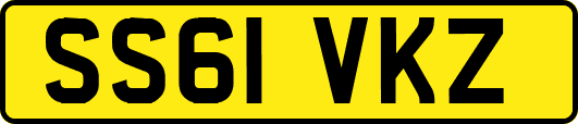 SS61VKZ