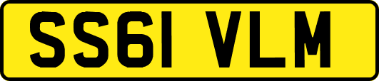 SS61VLM