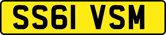 SS61VSM