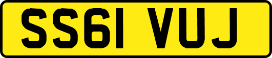 SS61VUJ