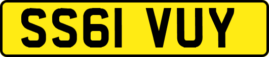 SS61VUY