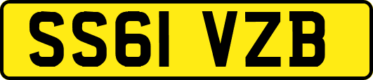 SS61VZB