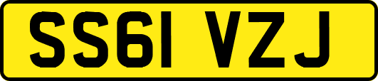 SS61VZJ