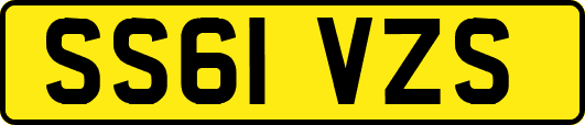 SS61VZS
