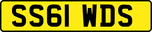 SS61WDS