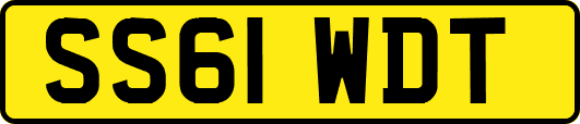 SS61WDT