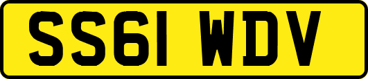SS61WDV