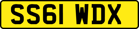 SS61WDX