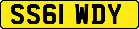 SS61WDY