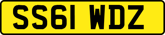 SS61WDZ