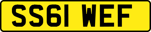 SS61WEF