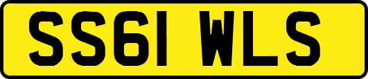 SS61WLS