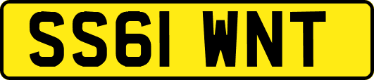 SS61WNT