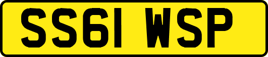 SS61WSP