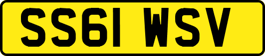SS61WSV