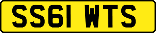 SS61WTS