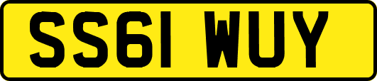 SS61WUY