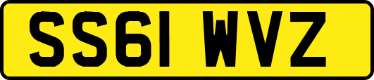 SS61WVZ