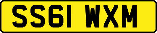 SS61WXM