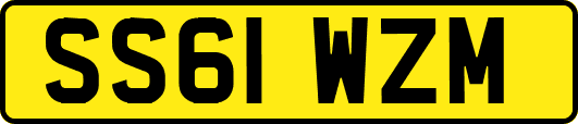 SS61WZM