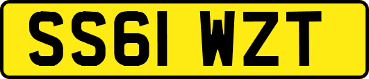 SS61WZT