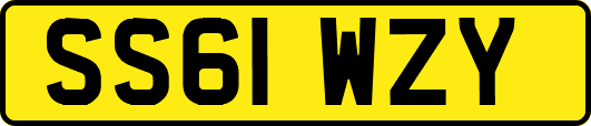 SS61WZY