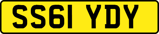 SS61YDY