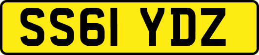 SS61YDZ