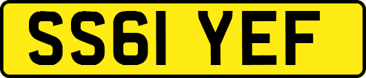 SS61YEF