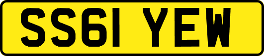 SS61YEW