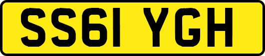SS61YGH
