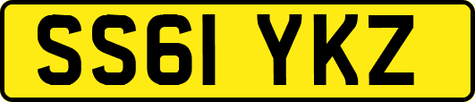 SS61YKZ