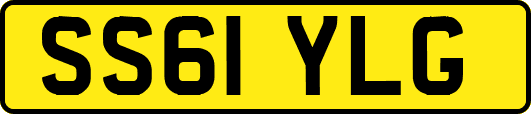 SS61YLG